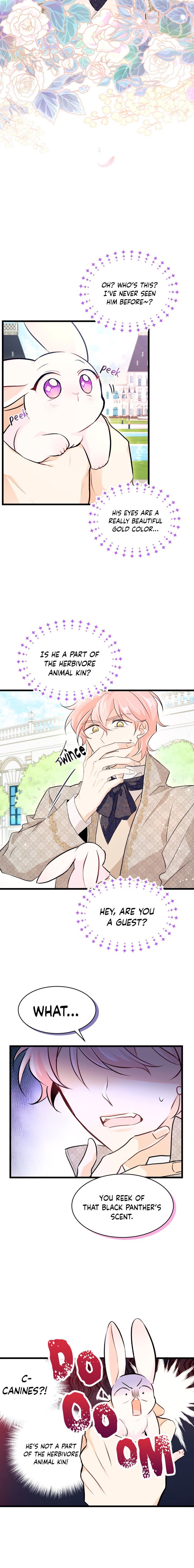 A Symbiotic Relationship Between A Rabbit And A Black Panther chapter 8 page 19