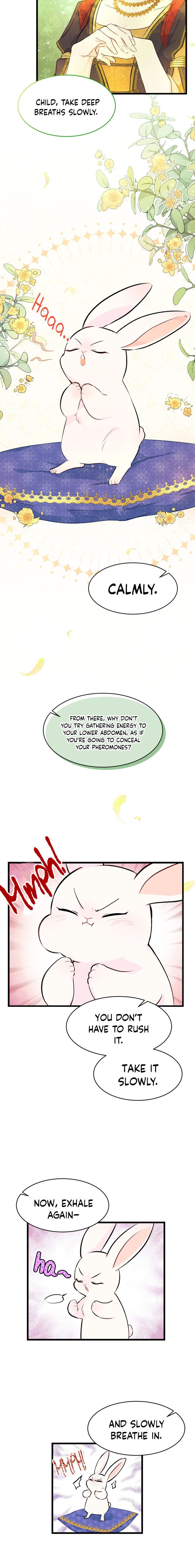 A Symbiotic Relationship Between A Rabbit And A Black Panther chapter 8 page 3