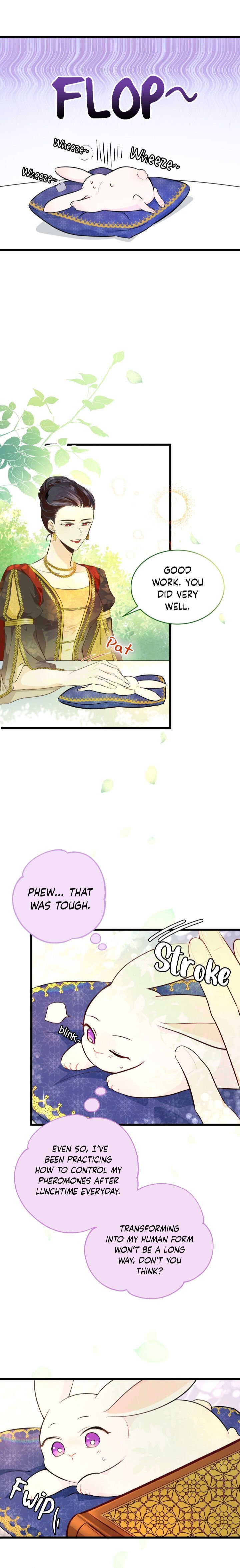 A Symbiotic Relationship Between A Rabbit And A Black Panther chapter 8 page 5