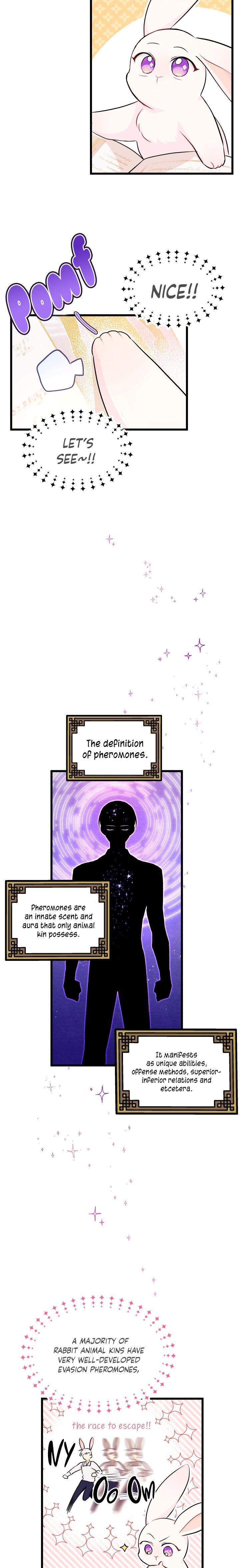 A Symbiotic Relationship Between A Rabbit And A Black Panther chapter 8 page 9