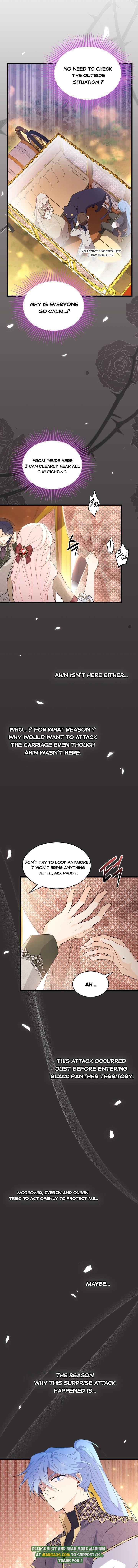 A Symbiotic Relationship Between A Rabbit And A Black Panther chapter 80 page 3