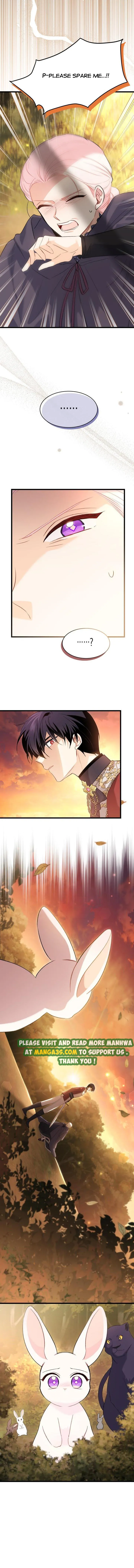 A Symbiotic Relationship Between A Rabbit And A Black Panther chapter 81.5 page 5