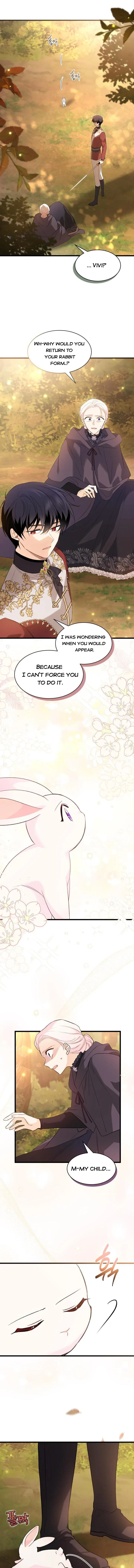 A Symbiotic Relationship Between A Rabbit And A Black Panther chapter 81.5 page 6