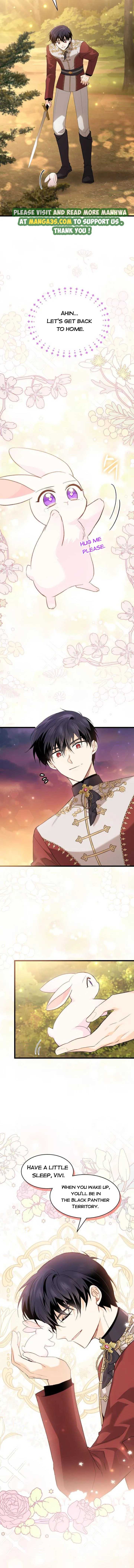 A Symbiotic Relationship Between A Rabbit And A Black Panther chapter 81.5 page 8