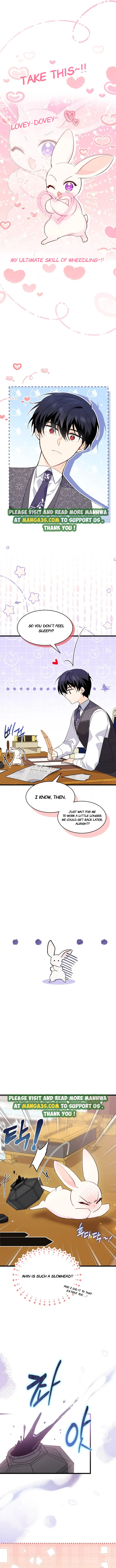 A Symbiotic Relationship Between A Rabbit And A Black Panther chapter 83.5 page 2