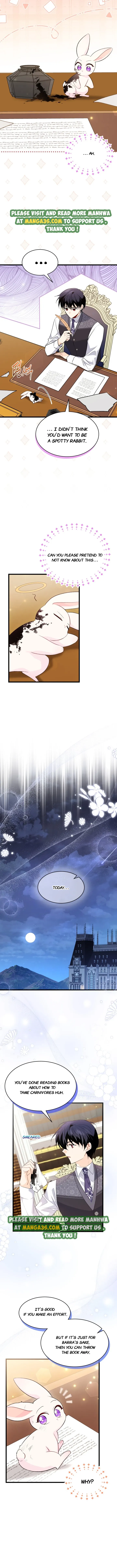 A Symbiotic Relationship Between A Rabbit And A Black Panther chapter 83.5 page 3