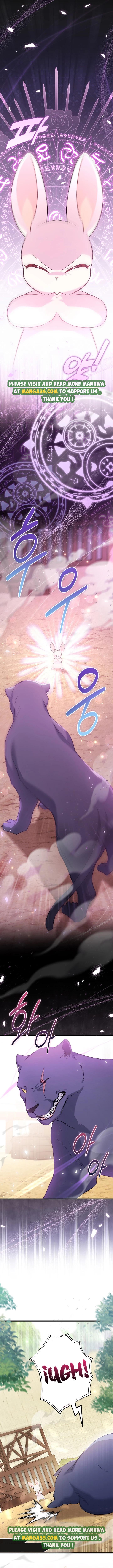 A Symbiotic Relationship Between A Rabbit And A Black Panther chapter 83 page 1