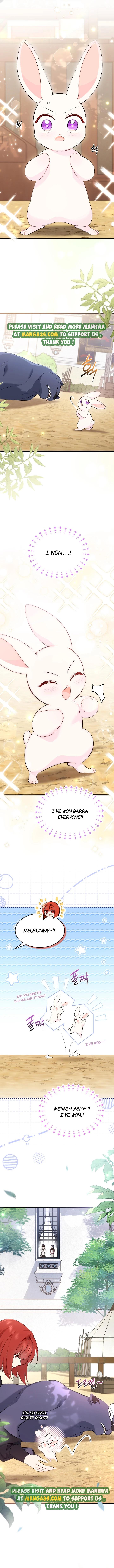 A Symbiotic Relationship Between A Rabbit And A Black Panther chapter 83 page 2