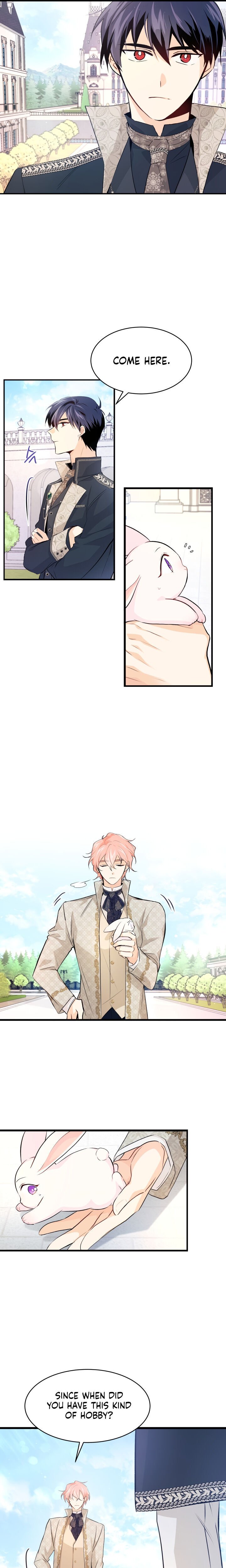 A Symbiotic Relationship Between A Rabbit And A Black Panther chapter 9 page 6