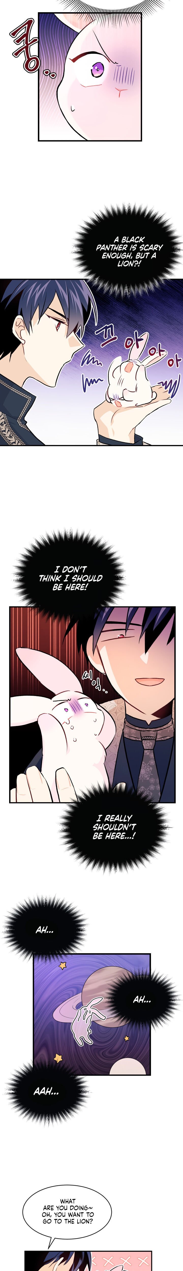 A Symbiotic Relationship Between A Rabbit And A Black Panther chapter 9 page 9