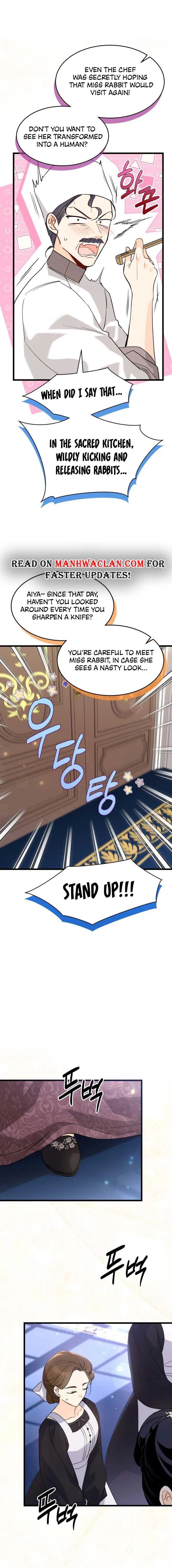 A Symbiotic Relationship Between A Rabbit And A Black Panther chapter 90 page 9