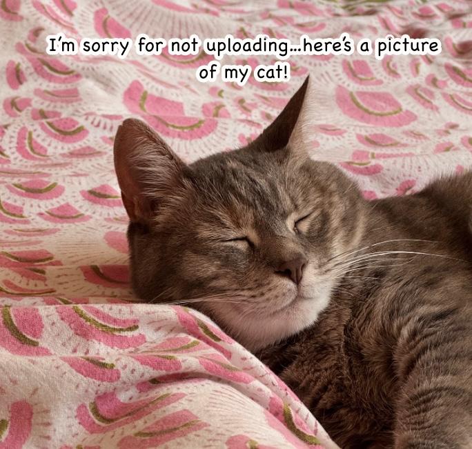 A World Where Everything Definitely Becomes BL vs. The Man Who Definitely Doesn't Want To Be In A BL chapter 76 page 7