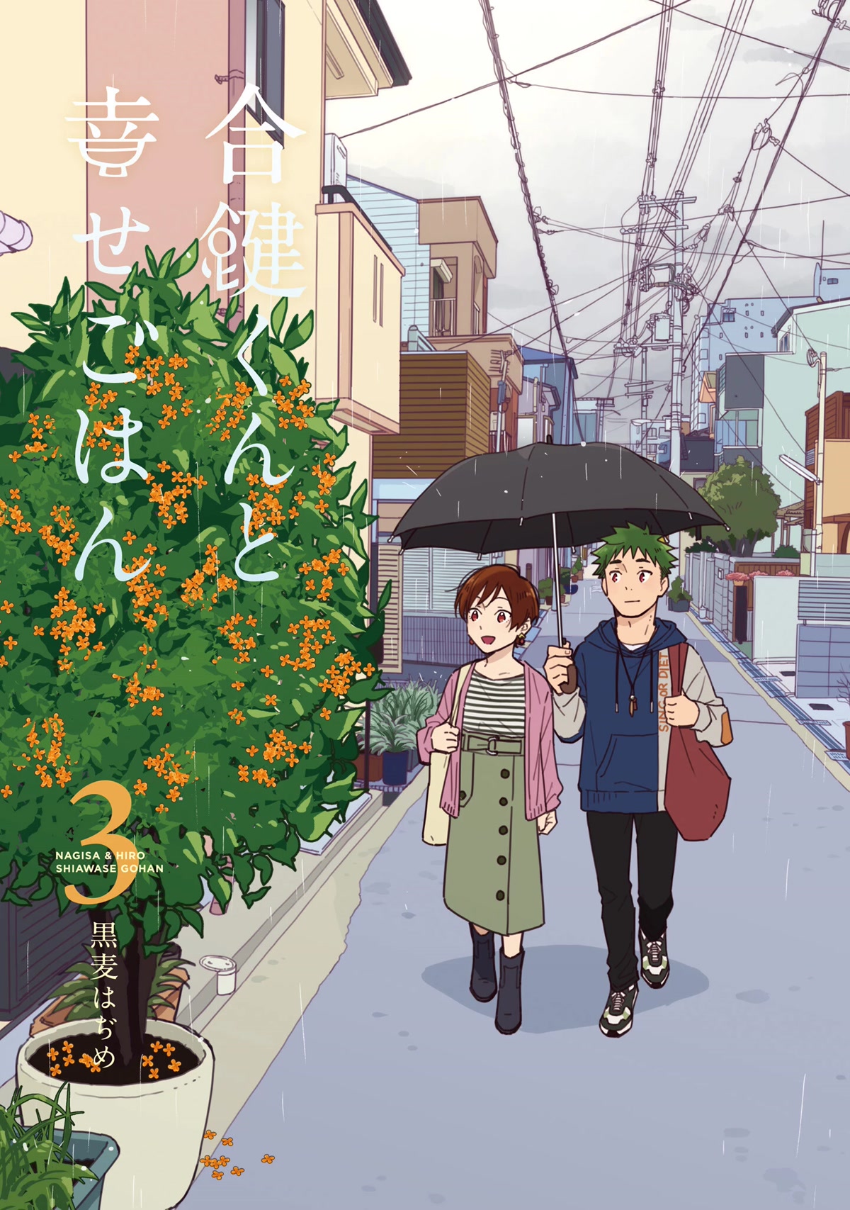 Aikagi-kun to Shiawase Gohan chapter 15 page 3