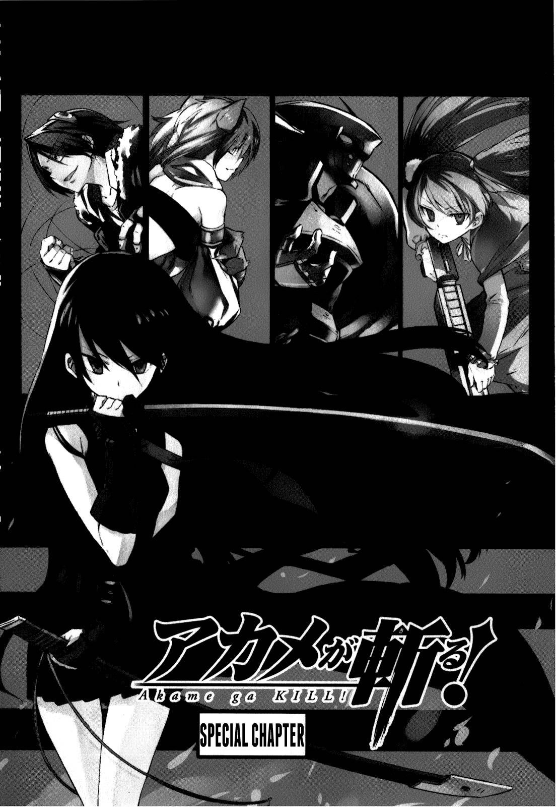 Akame ga Kill! chapter 23.5 page 3