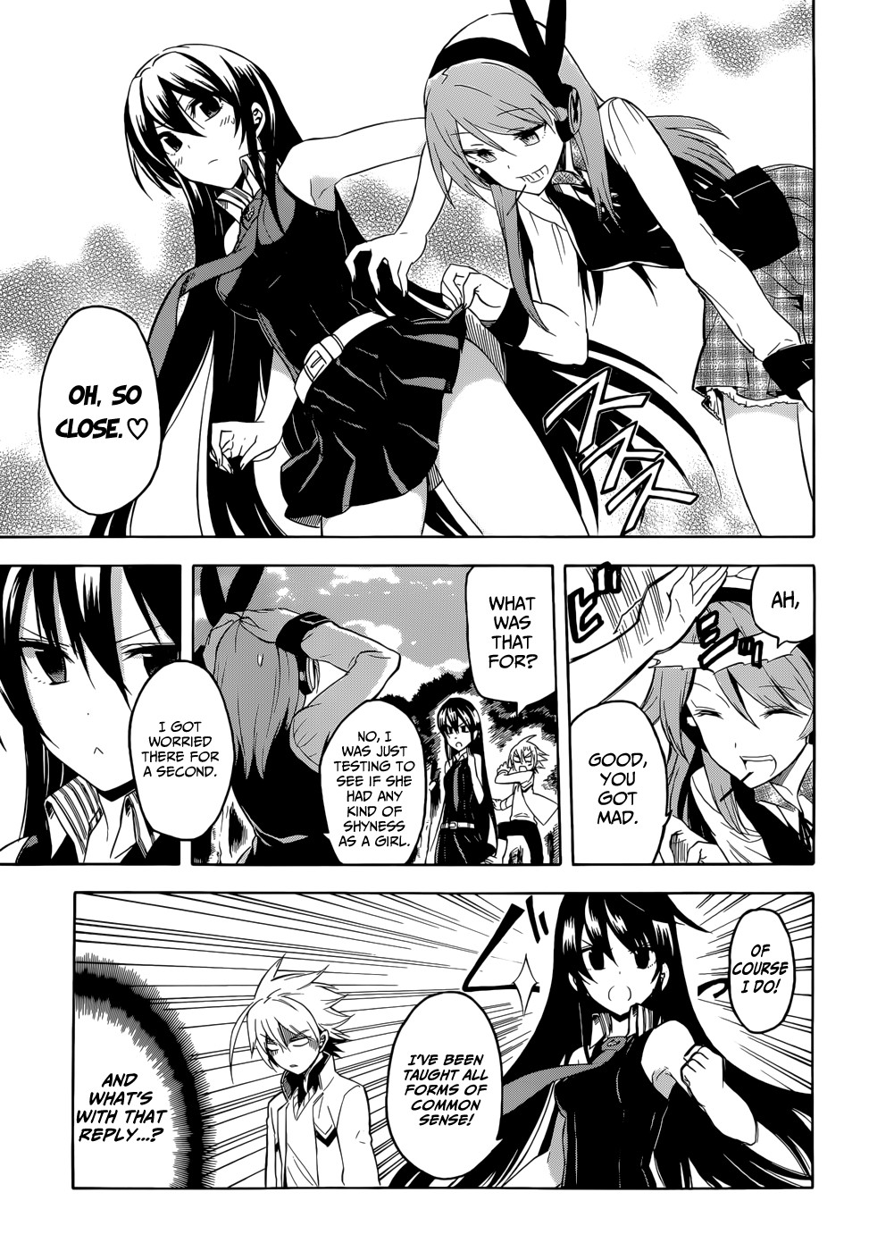 Akame ga Kill! chapter 33.5 page 10