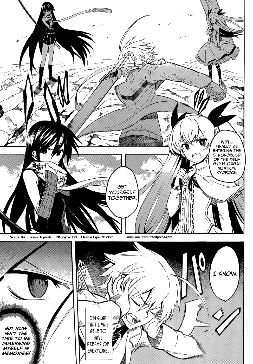 Akame ga Kill! chapter 33.5 page 14