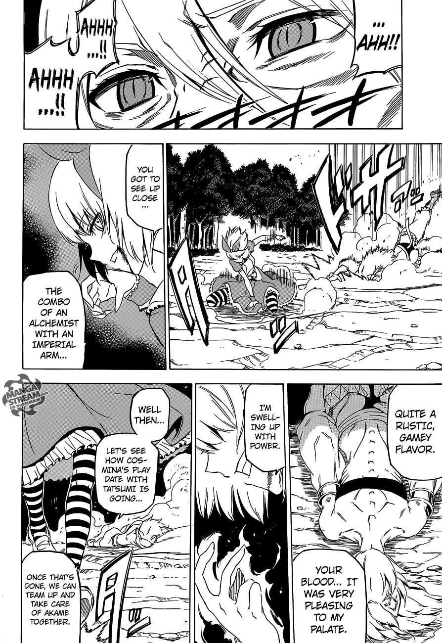 Akame ga Kill! chapter 60 page 12