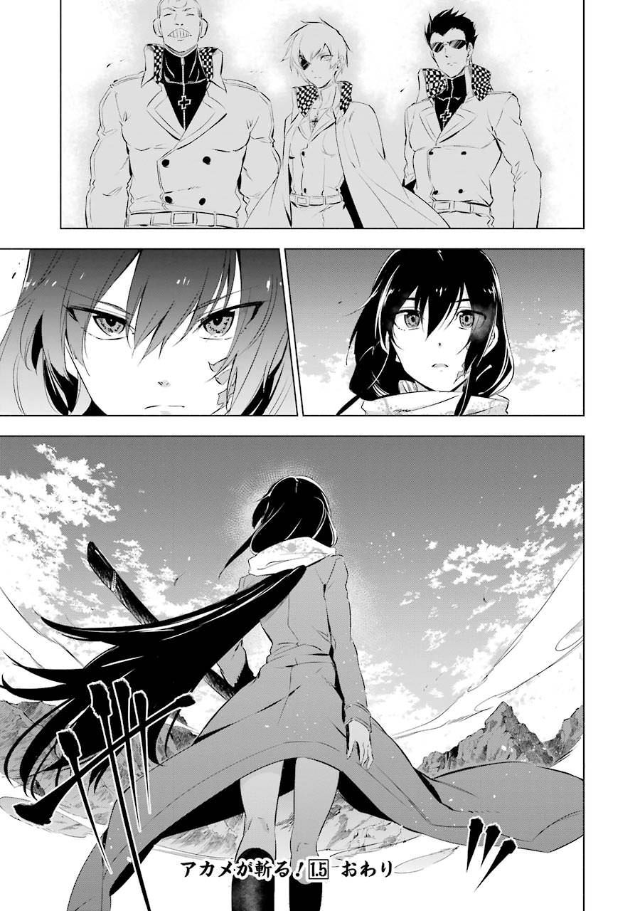 Akame ga Kill! chapter 78.5 page 16