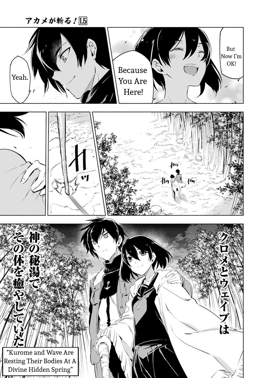 Akame ga Kill! chapter 78.5 page 6