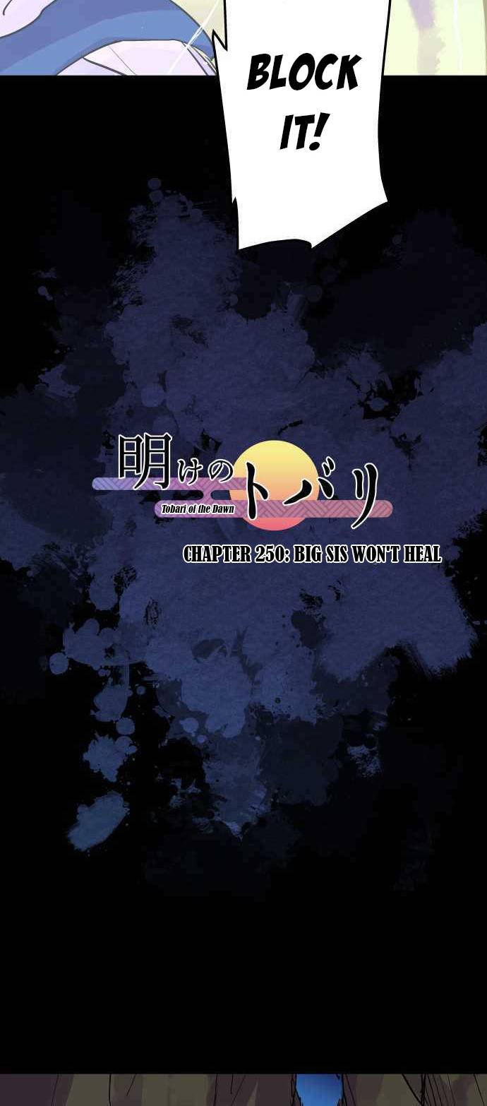 Ake no Tobari chapter 250 page 11