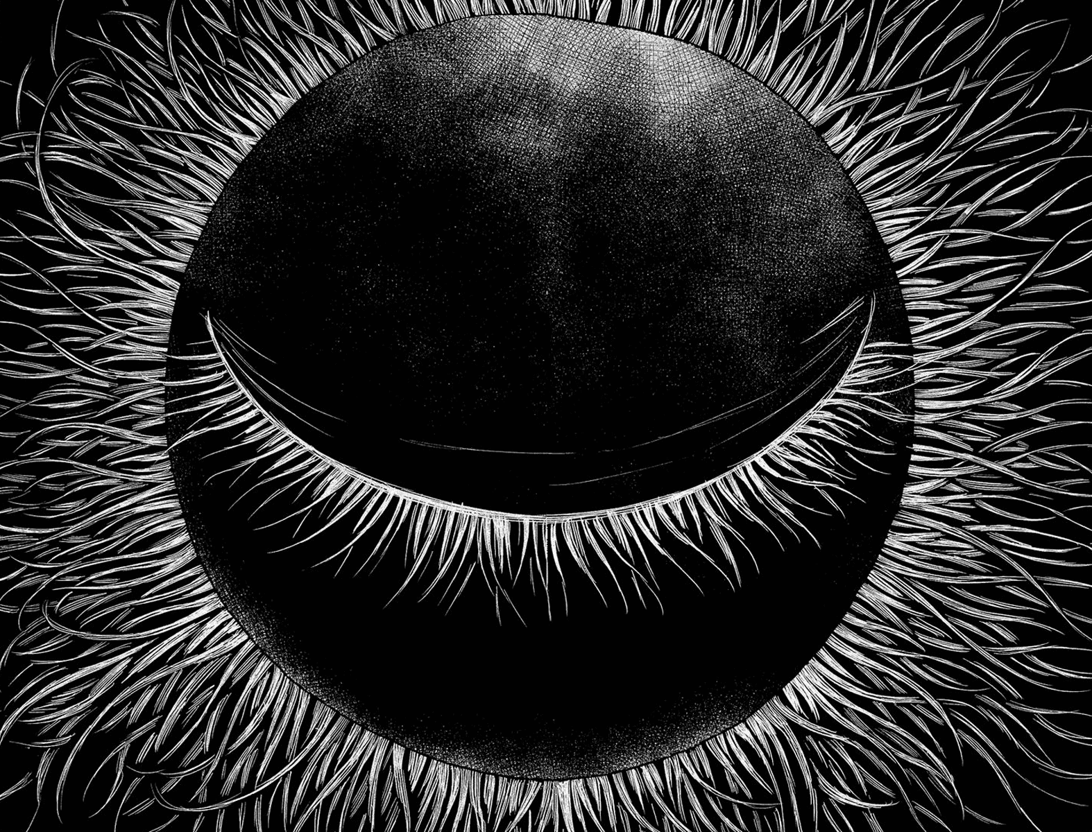 Aku no Hana chapter 33 page 35