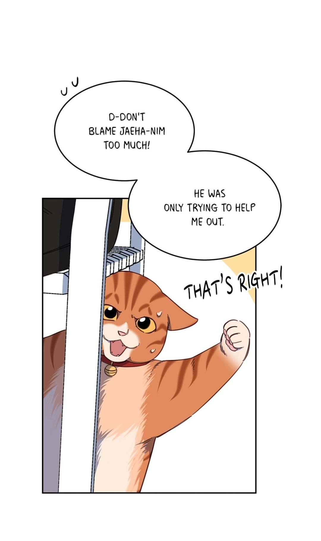 An Animal Hospital In The Border Area chapter 10 page 12