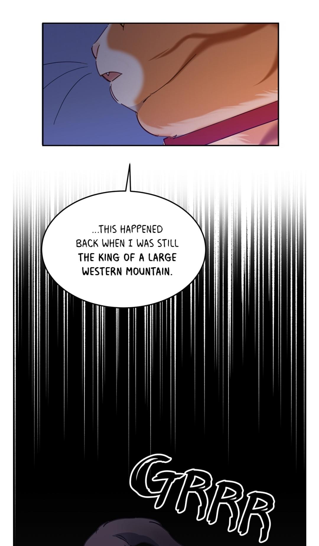 An Animal Hospital In The Border Area chapter 10 page 37