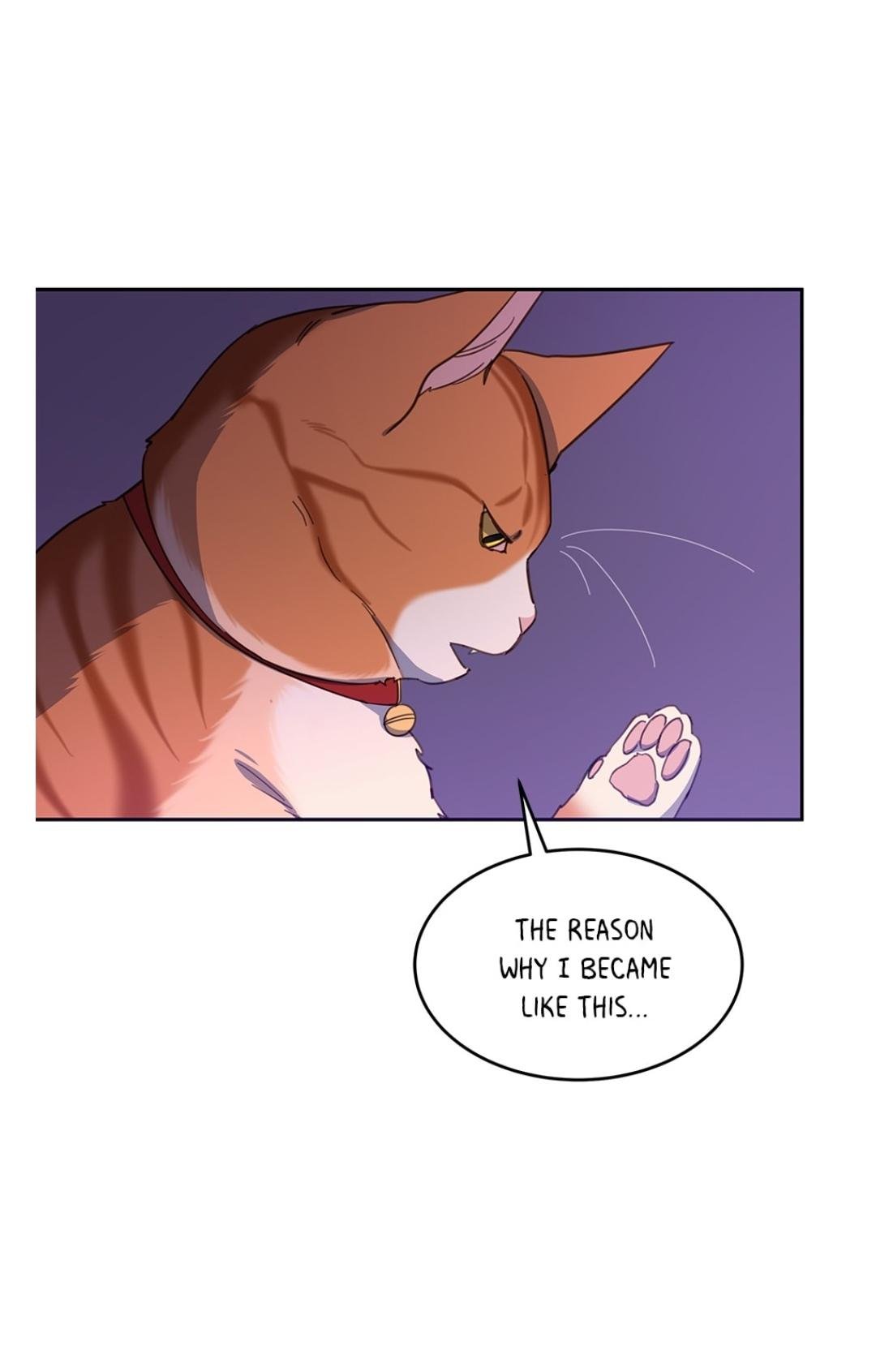 An Animal Hospital In The Border Area chapter 11 page 1