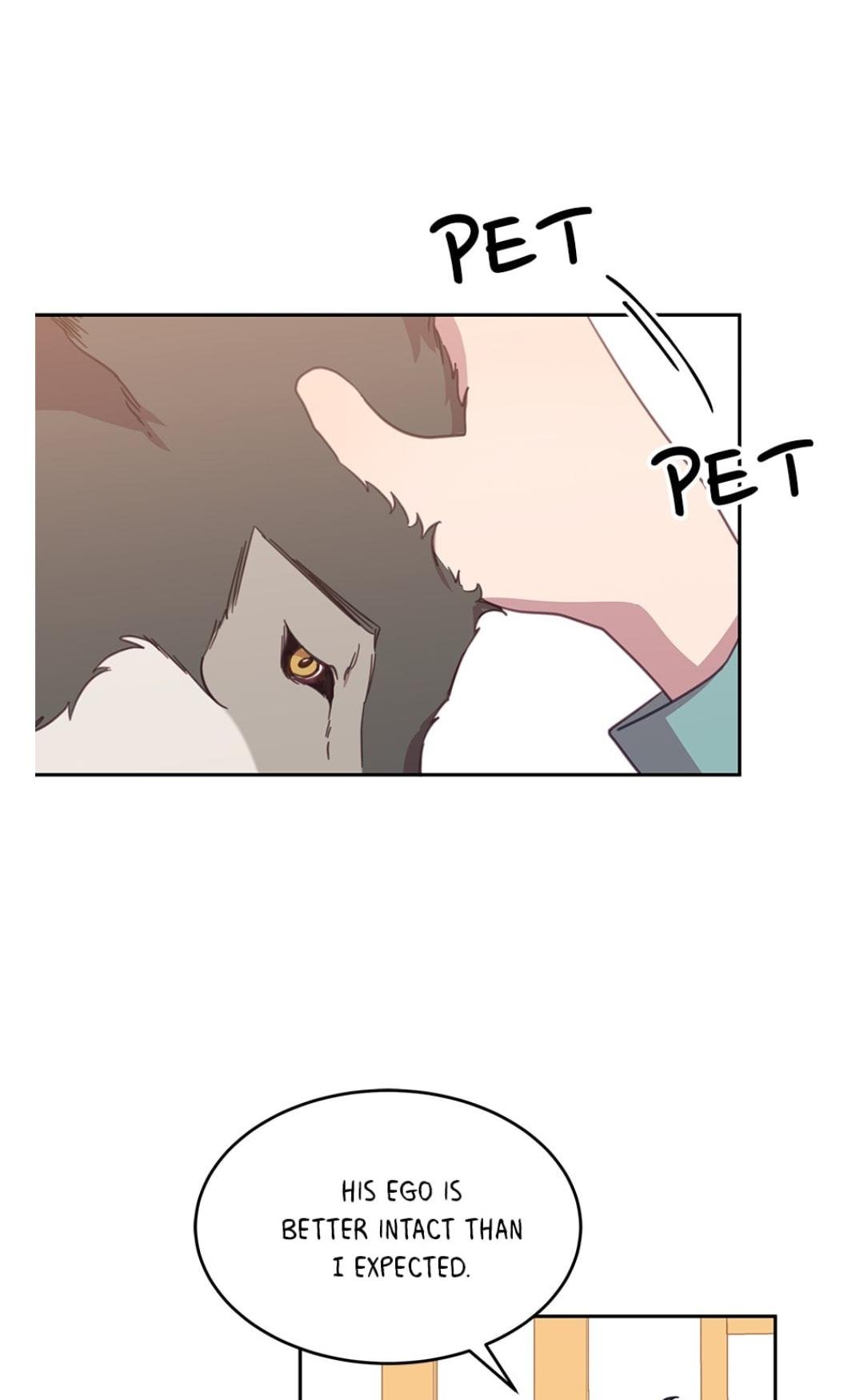 An Animal Hospital In The Border Area chapter 14 page 45