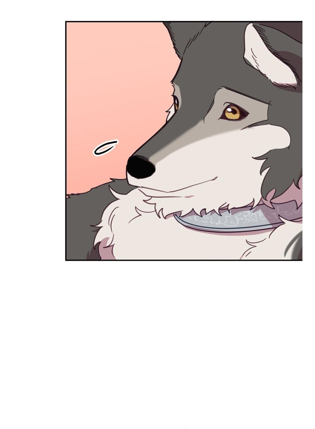 An Animal Hospital In The Border Area chapter 14 page 50