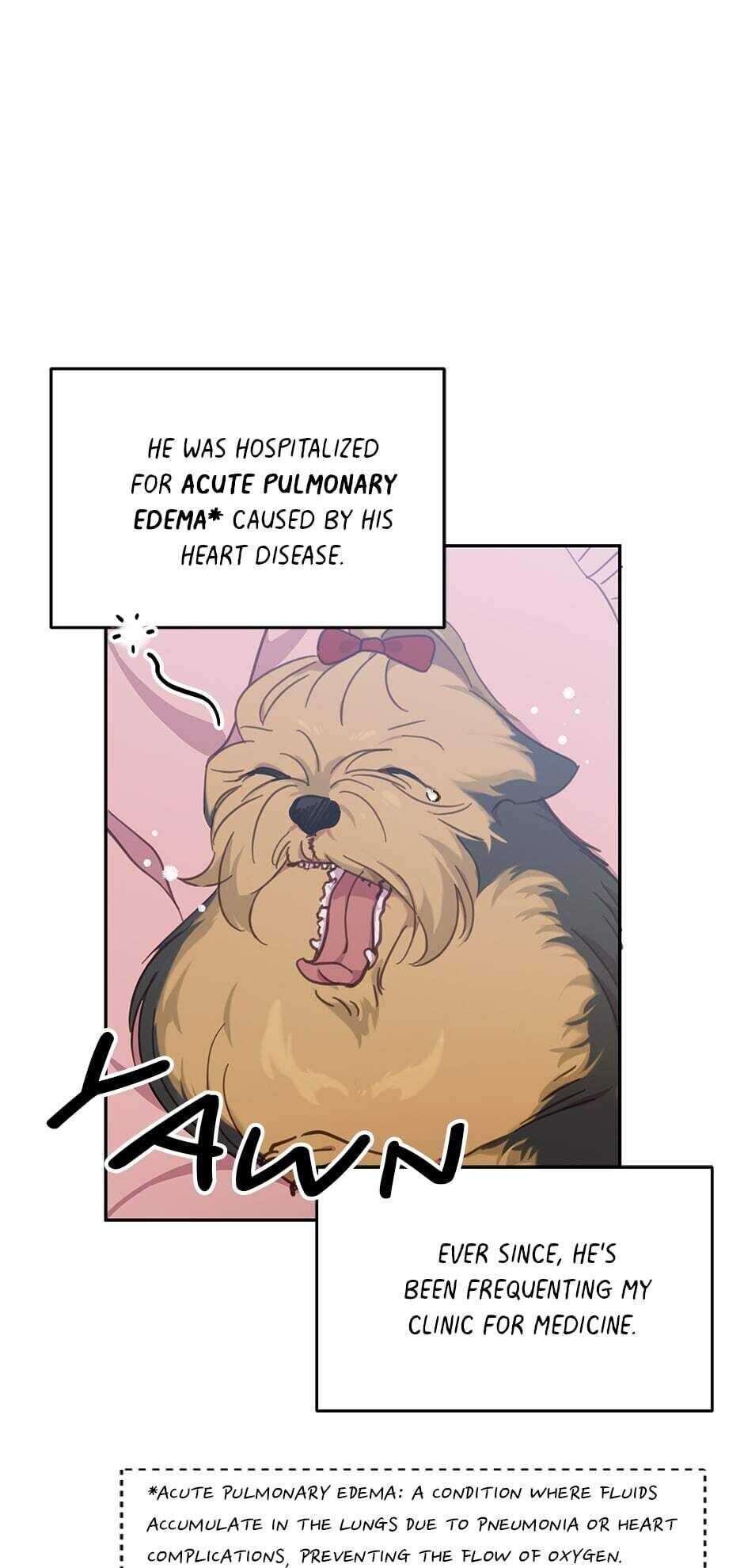 An Animal Hospital In The Border Area chapter 17 page 11