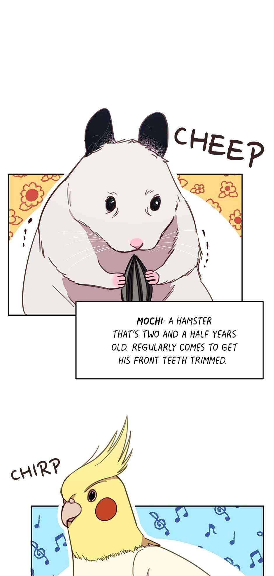 An Animal Hospital In The Border Area chapter 17 page 18