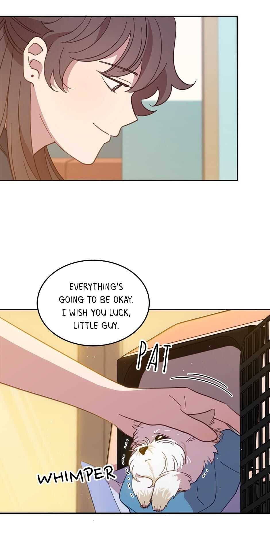 An Animal Hospital In The Border Area chapter 19 page 12