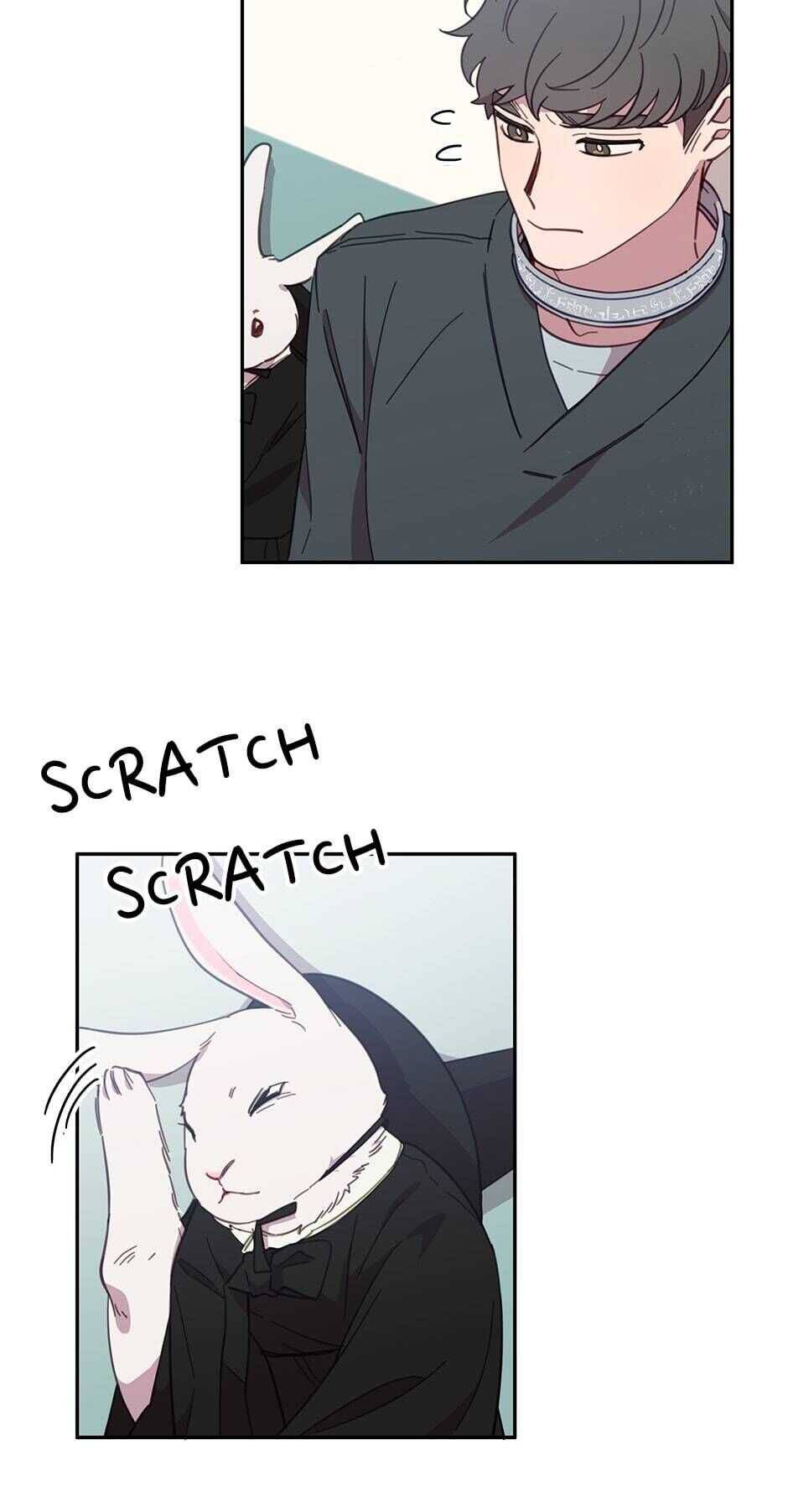 An Animal Hospital In The Border Area chapter 19 page 4