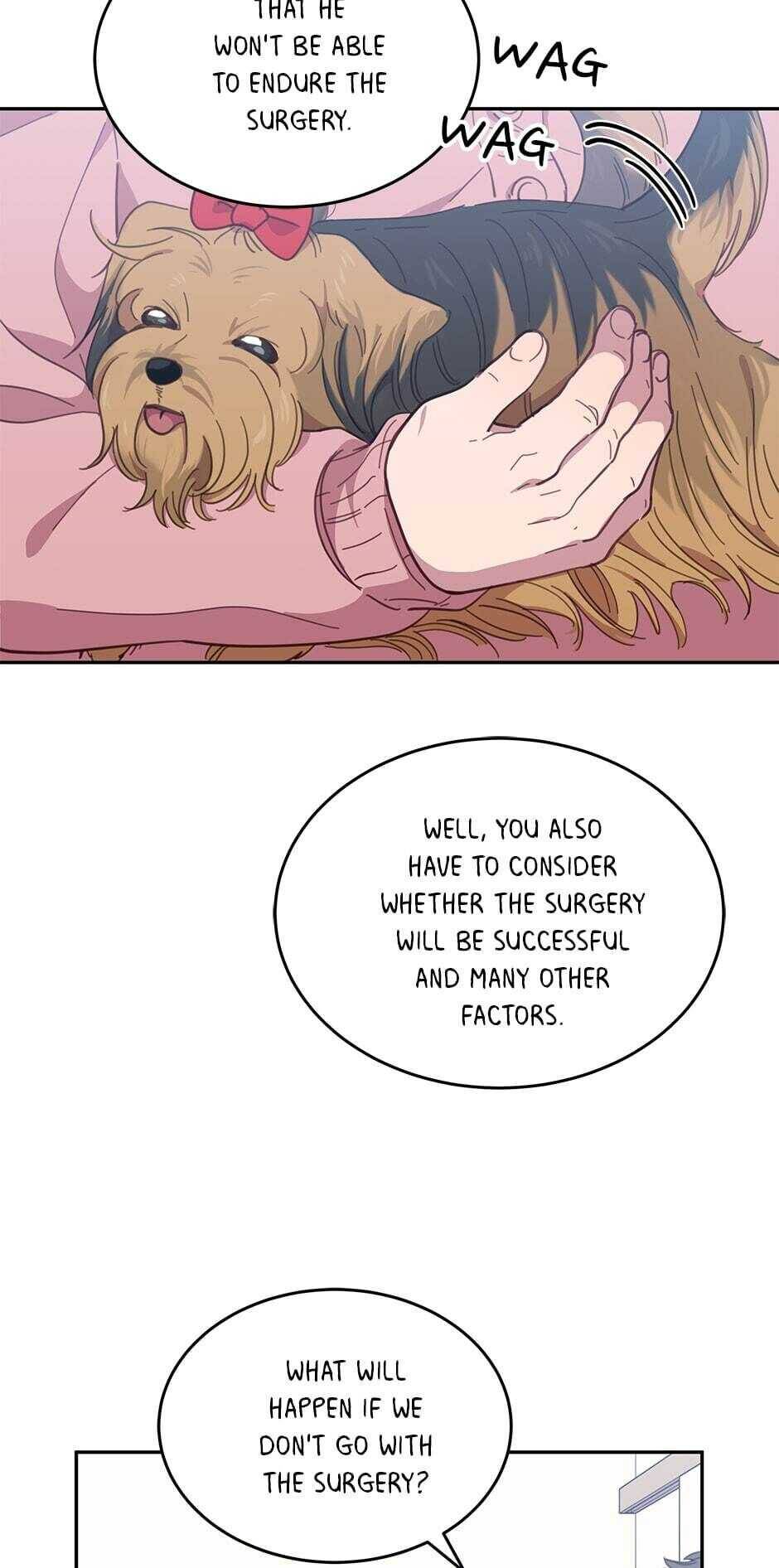 An Animal Hospital In The Border Area chapter 19 page 43