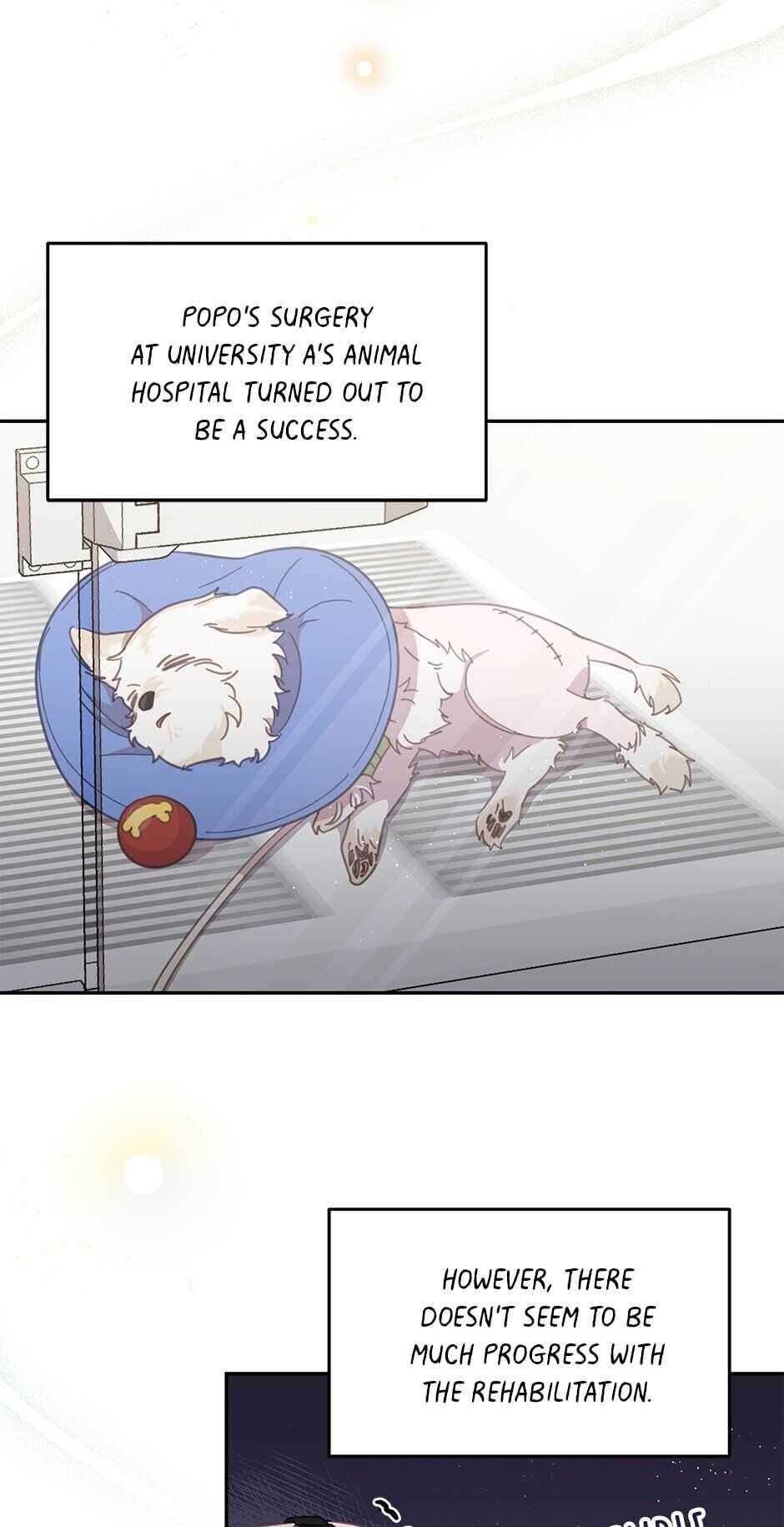 An Animal Hospital In The Border Area chapter 20 page 18