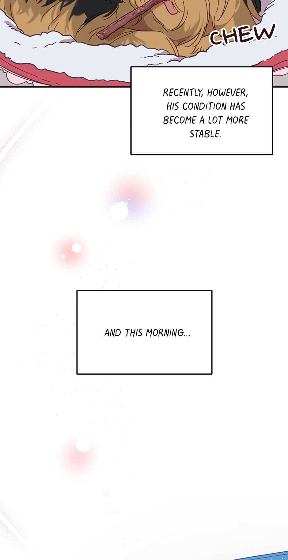 An Animal Hospital In The Border Area chapter 20 page 20