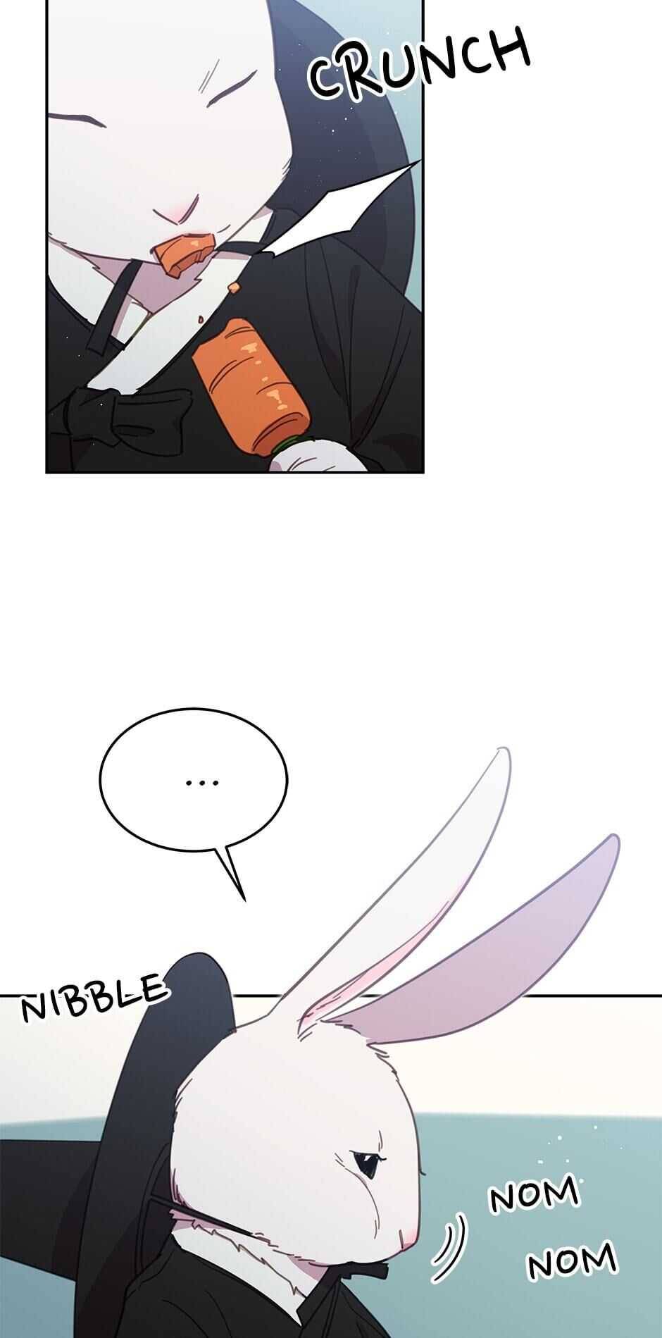 An Animal Hospital In The Border Area chapter 20 page 43