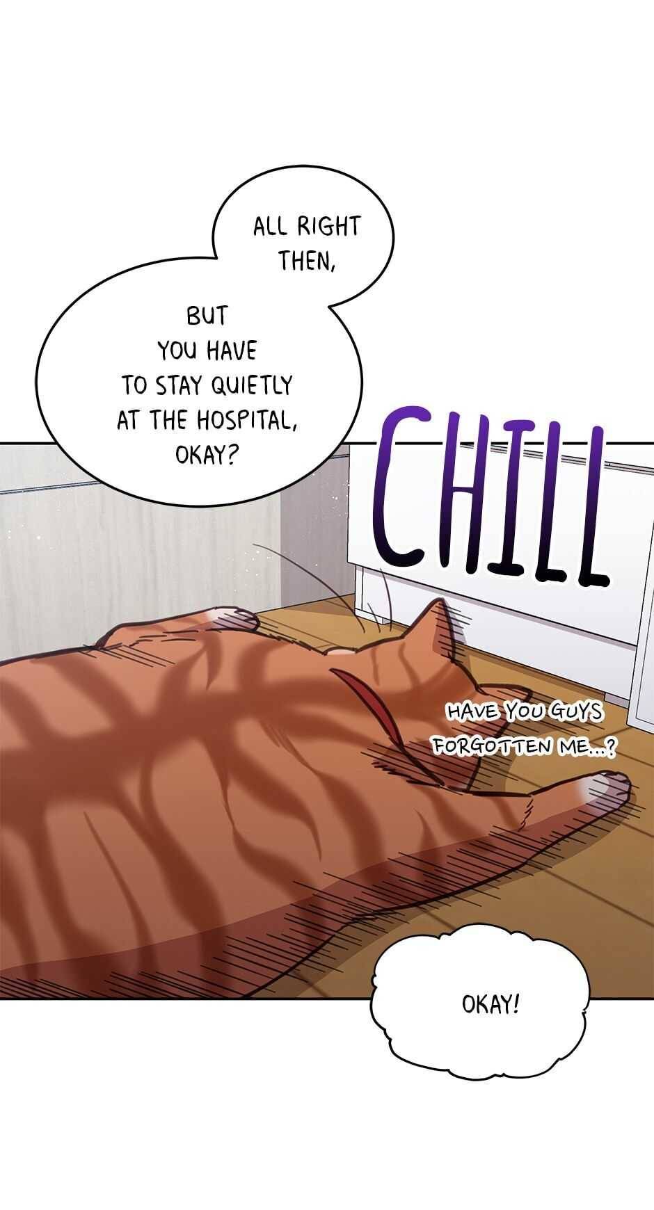 An Animal Hospital In The Border Area chapter 23 page 39