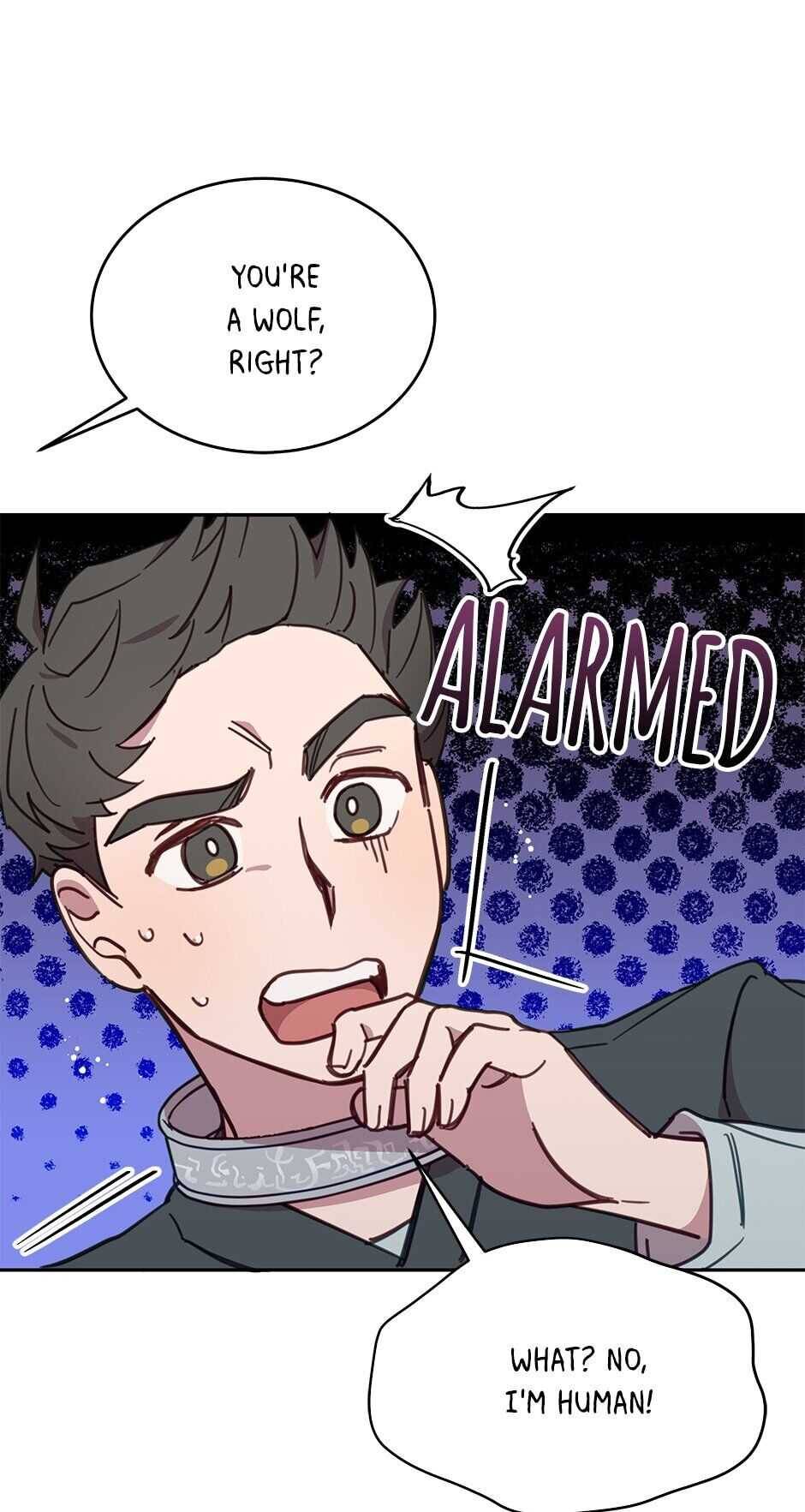 An Animal Hospital In The Border Area chapter 23 page 46