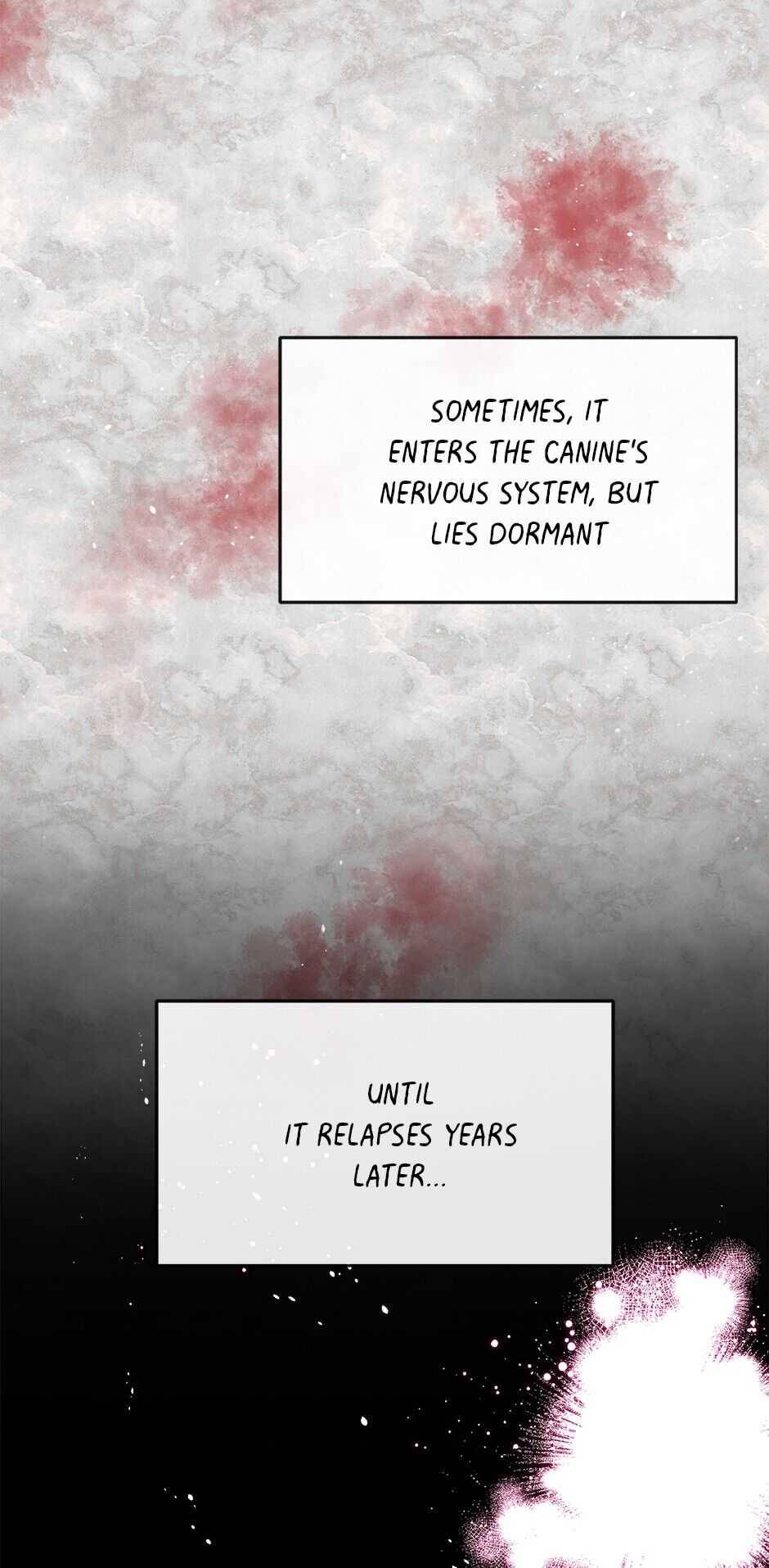 An Animal Hospital In The Border Area chapter 25 page 20