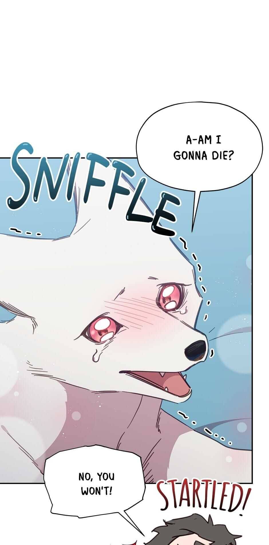 An Animal Hospital In The Border Area chapter 25 page 31