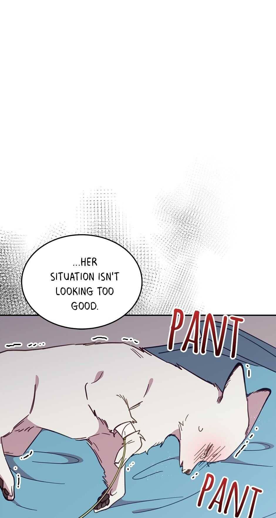 An Animal Hospital In The Border Area chapter 27 page 21