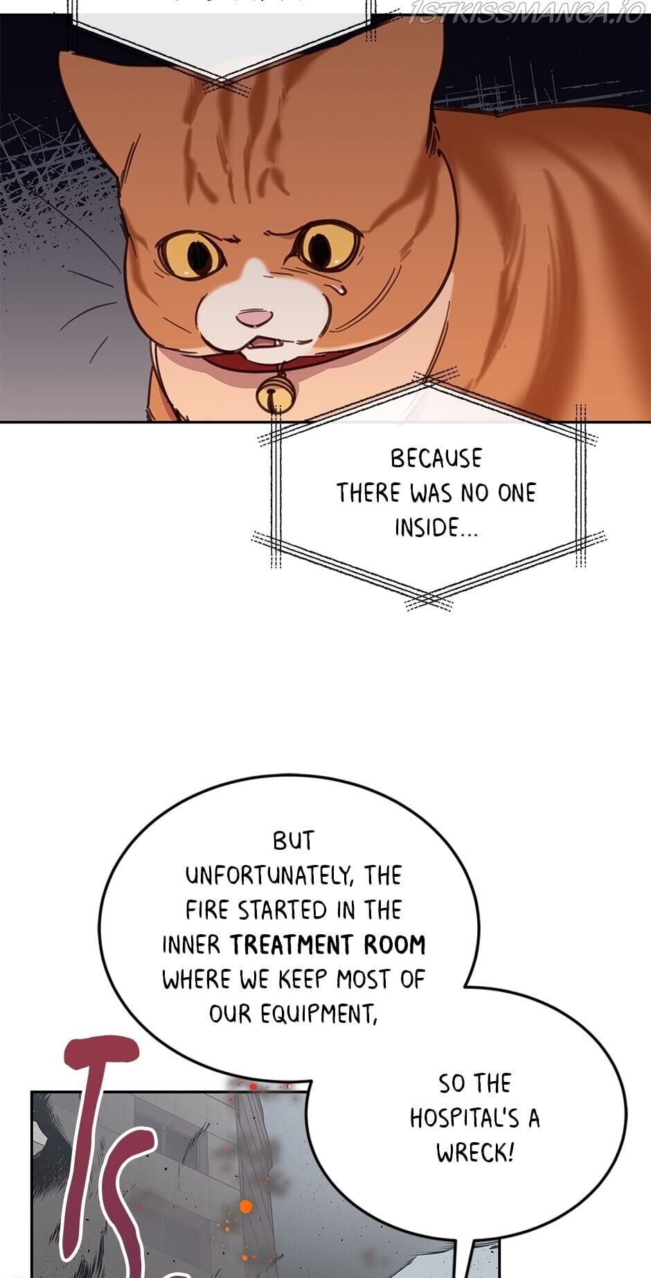 An Animal Hospital In The Border Area chapter 28 page 15