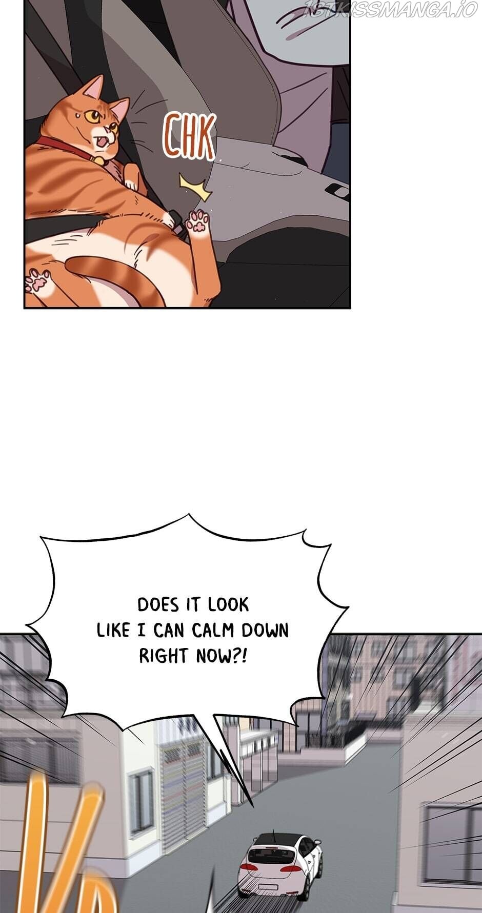 An Animal Hospital In The Border Area chapter 28 page 23