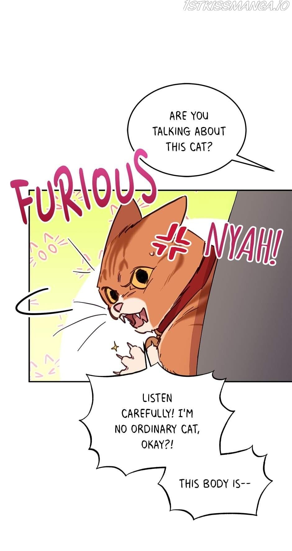 An Animal Hospital In The Border Area chapter 28 page 40