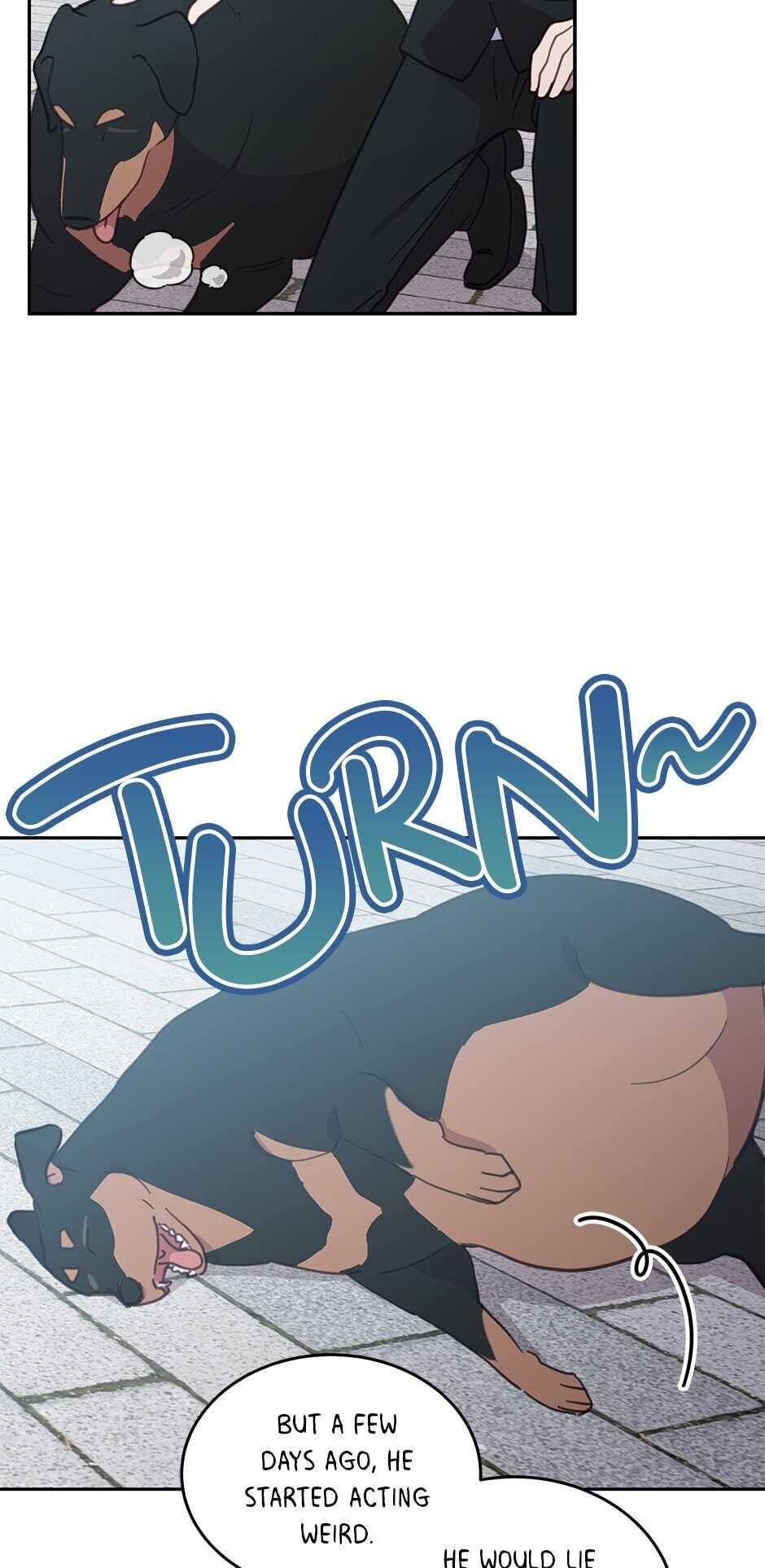 An Animal Hospital In The Border Area chapter 32 page 12