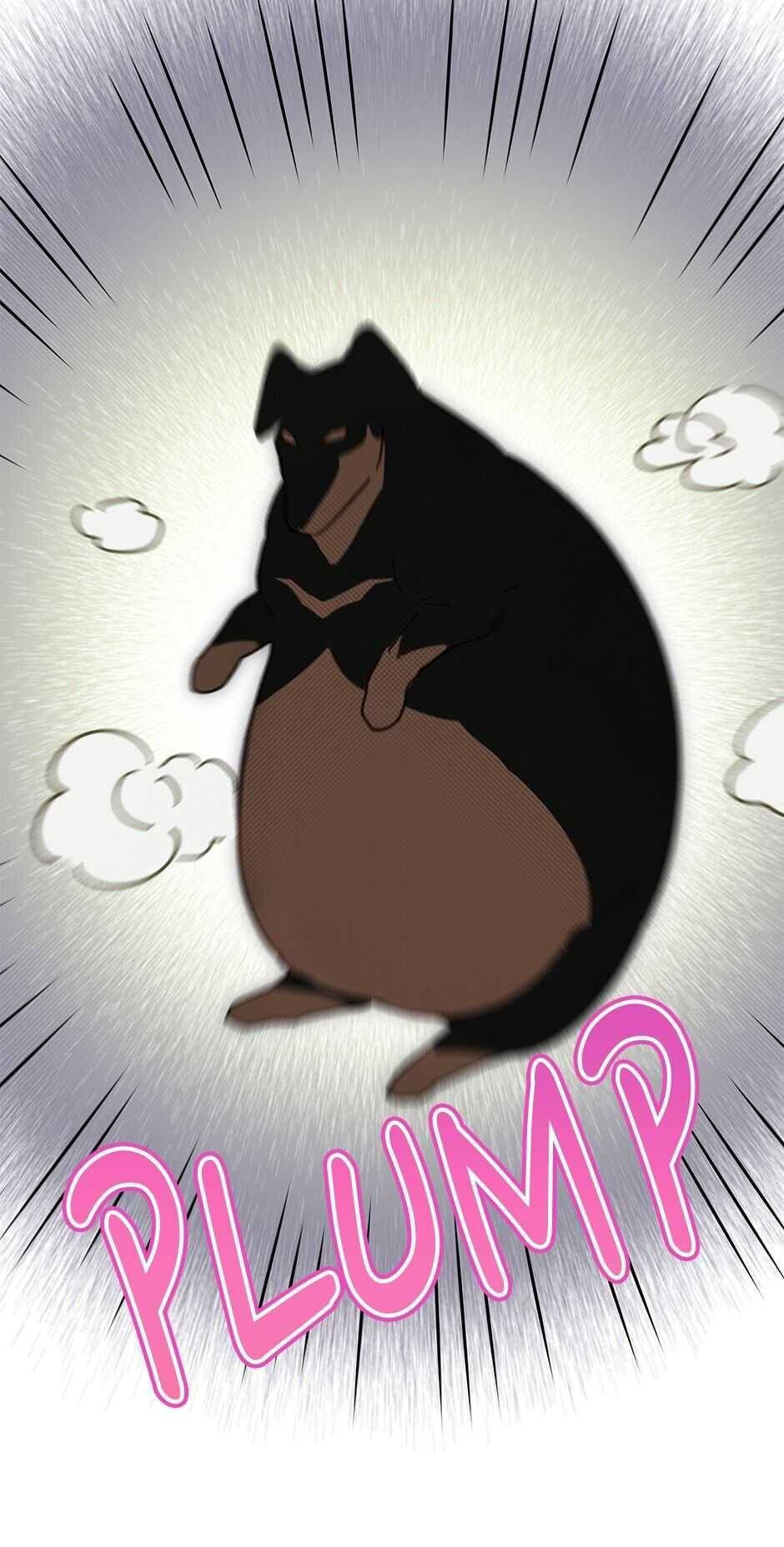 An Animal Hospital In The Border Area chapter 32 page 22