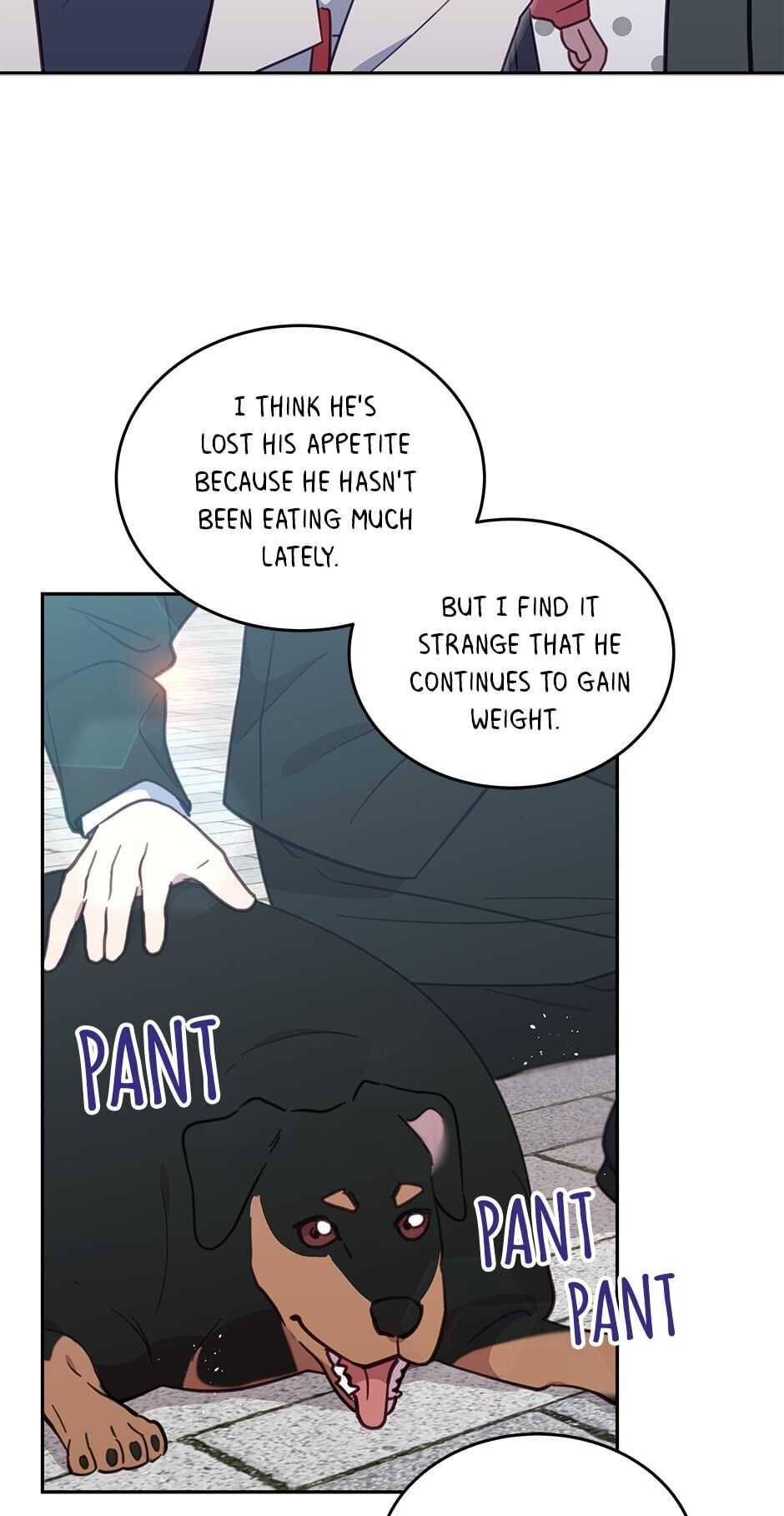 An Animal Hospital In The Border Area chapter 32 page 26