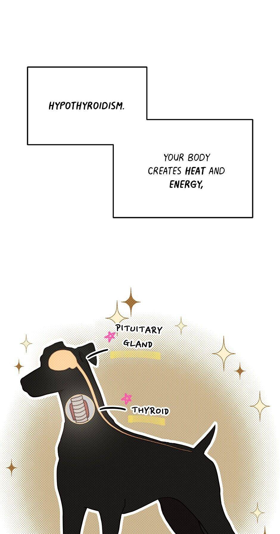 An Animal Hospital In The Border Area chapter 33 page 5